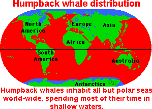 Humpbackdist.gif (4680 bytes)